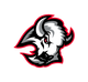 Buffalo Sabres