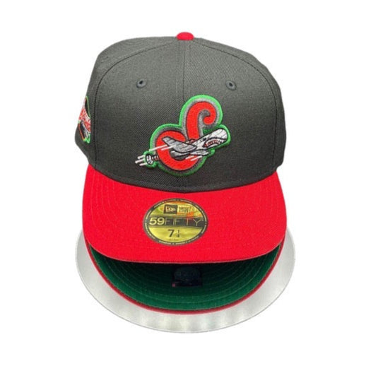 Syracuse Skycheifs Black and Red Green UV